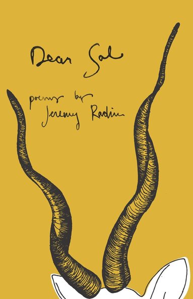 Jeremy Radin - Dear Sal, Häftad