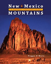 bokomslag New Mexico Mountains: A Natural Treasure Guide