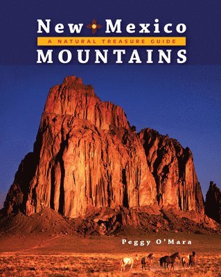 bokomslag New Mexico Mountains: A Natural Treasure Guide