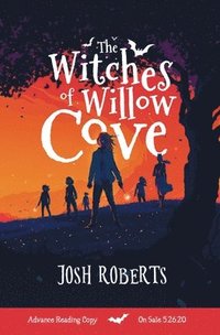 bokomslag The Witches of Willow Cove