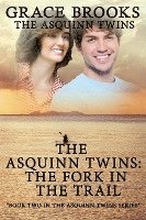 bokomslag The Asquinn Twins Book 2: Where The Trail Forks