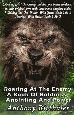 bokomslag Roaring At The Enemy