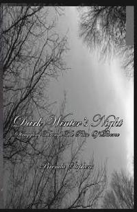 bokomslag Dark Winter's Night: Struggling Through The Pain Of Divorce