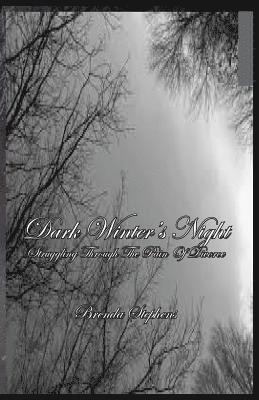 Dark Winter's Night: Struggling Through The Pain Of Divorce 1