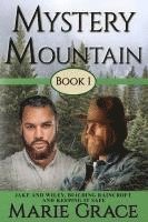 bokomslag Mystery Mountain, Volume One