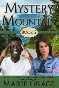 bokomslag Mystery Mountain, Book Two: More Adventures of a Mountain Family and Community