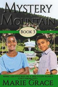 bokomslag Mystery Mountain, Book Three: More In The Adventures Of A Mountain Family and Community