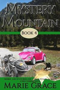 bokomslag Mystery Mountain, Book Four: More In The Adventures Of A Mountain Family and Community