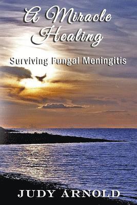 bokomslag Miracle Healing
