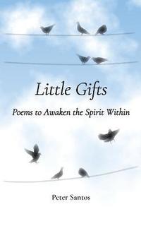 bokomslag Little Gifts