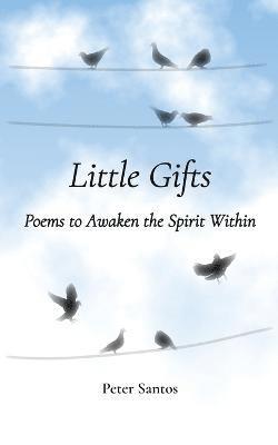 bokomslag Little Gifts