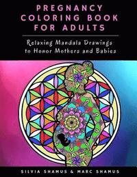 bokomslag Pregnancy Coloring Book for Adults: Relaxing Mandala Drawings to Honor Mothers and Babies