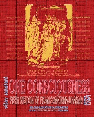 bokomslag One Consciousness