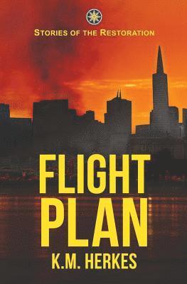 bokomslag Flight Plan