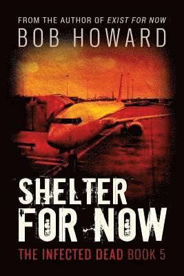 Shelter for Now 1