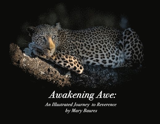 Awakening Awe 1