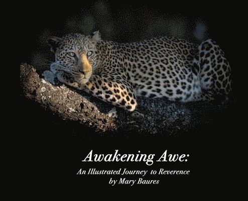Awakening Awe 1