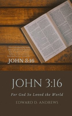 John 3 1