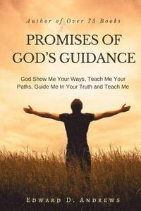 bokomslag Promises of God's Guidance