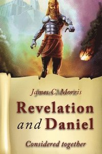 bokomslag Revelation And Daniel Considered Together
