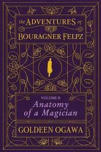 bokomslag The Adventures of Bouragner Felpz, Volume II: Anatomy of a Magician