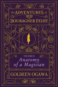 bokomslag The Adventures of Bouragner Felpz, Volume II: Anatomy of a Magician