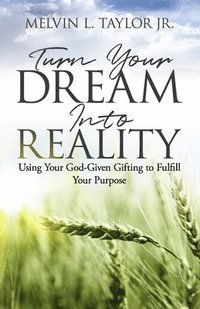 bokomslag Turn Your Dream into Reality