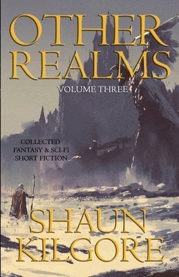 bokomslag Other Realms