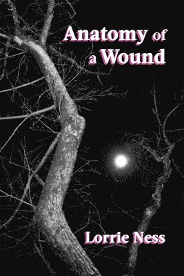 Lorrie Ness - Anatomy of a Wound, Häftad