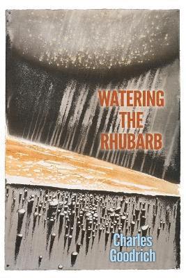 Watering the Rhubarb 1
