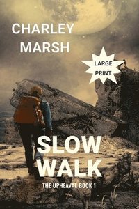 bokomslag Slow Walk