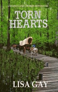 bokomslag Torn Hearts