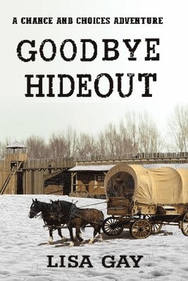 Goodbye Hideout 1