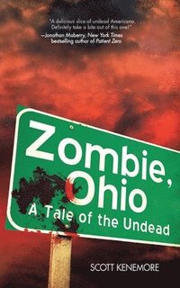 bokomslag Zombie, Ohio