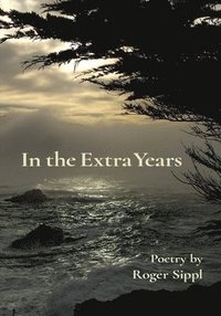 bokomslag In the Extra Years