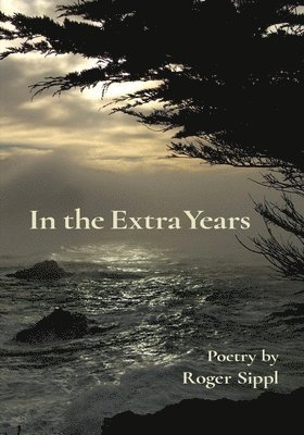 bokomslag In the Extra Years