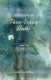 bokomslag Overview Of Three-Vehicle Bodhi