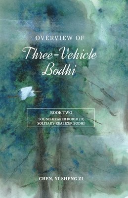 bokomslag Overview Of Three-Vehicle Bodhi