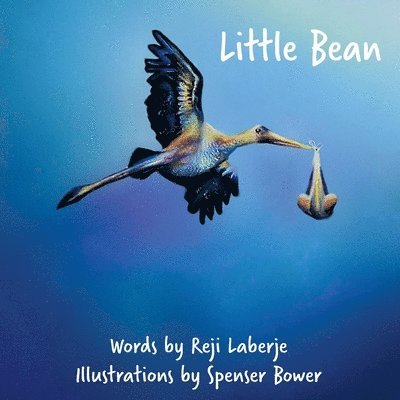 Little Bean 1