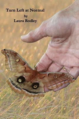 Laura Rodley - Turn Left at Normal, Häftad