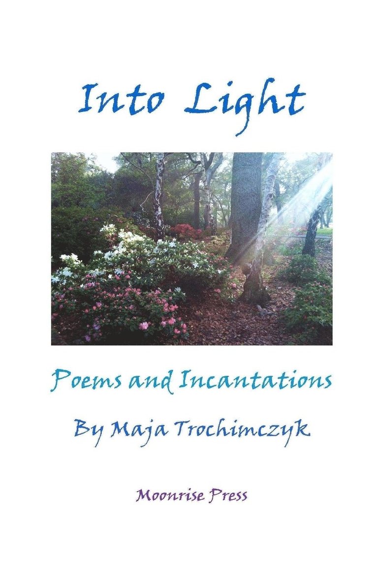 Maja Trochimczyk - Into Light, Häftad