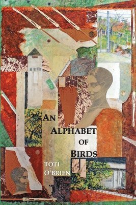 Toti O'Brien - Alphabet of Birds, Häftad