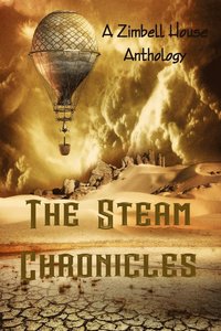 bokomslag Steam Chronicles