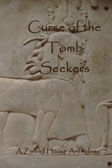 bokomslag Curse of the Tomb Seekers
