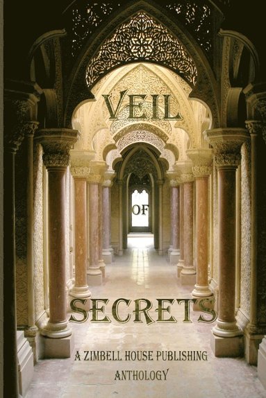 bokomslag Veil of Secrets