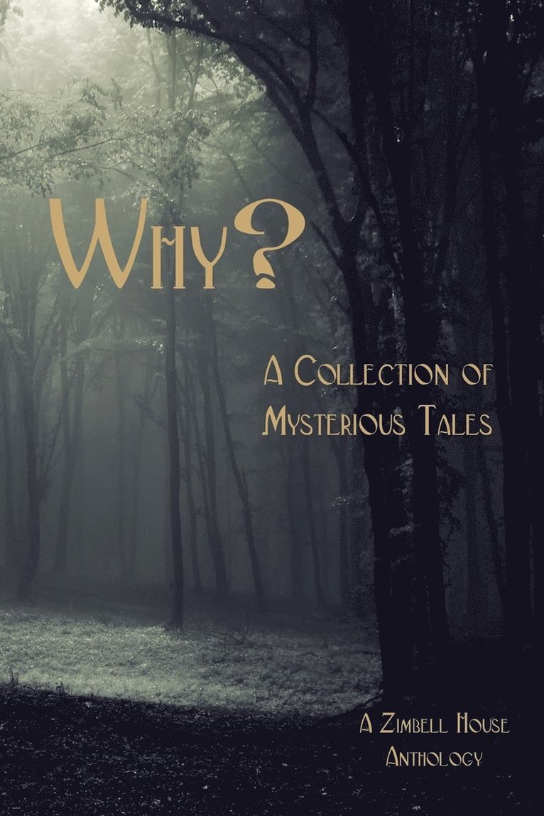 Zimbell House Publishing - Why?, Häftad