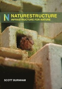 bokomslag NatureStructure: Infrastructure for Nature