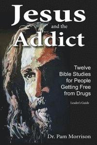 bokomslag Jesus and the Addict: Twelve Bible Studies for People Getting Free from Drugs