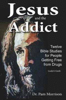 Pam Morrison - Jesus and the Addict: Twelve Bible Studies for People Getting Free from Drugs, Häftad