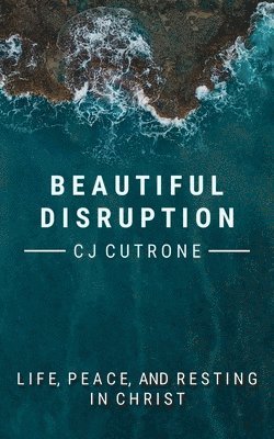 bokomslag Beautiful Disruption